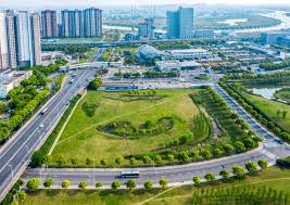 桐城市政绿化树苗有哪几种
